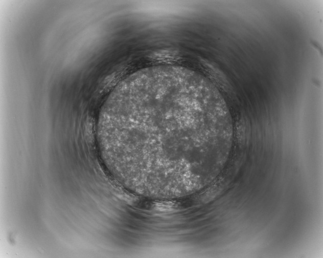 X0000101480757200808041128