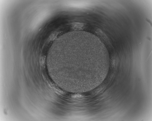 X0000101480759200808041128