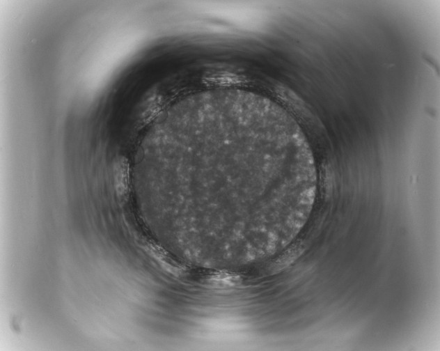 X0000101480760200808041128