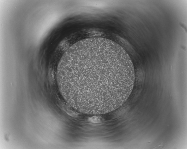 X0000101480761200808041128