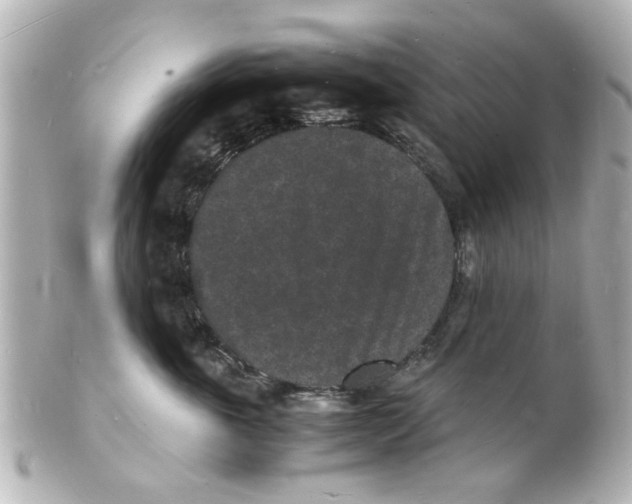 X0000101480763200808041128