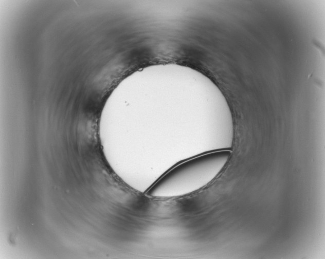 X0000101480768200808041128