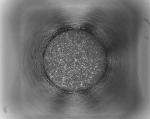 X0000101480769200808041127