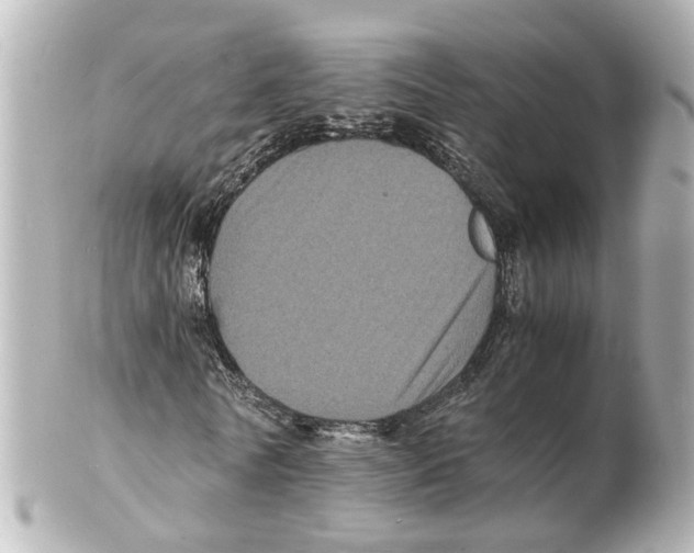 X0000101480770200808041127