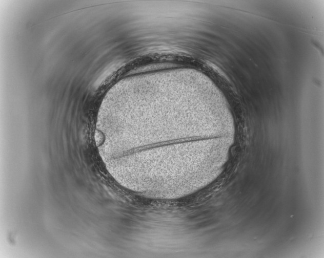 X0000101480775200808041127