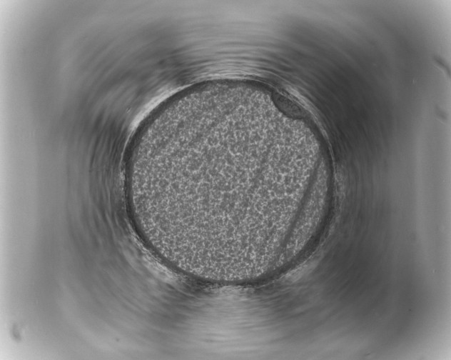 X0000101480779200808041127