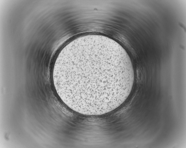 X0000101480780200808041127