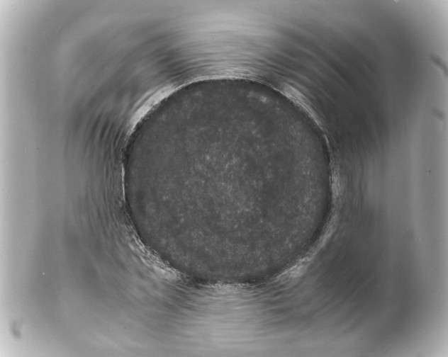 X0000101480781200808041127