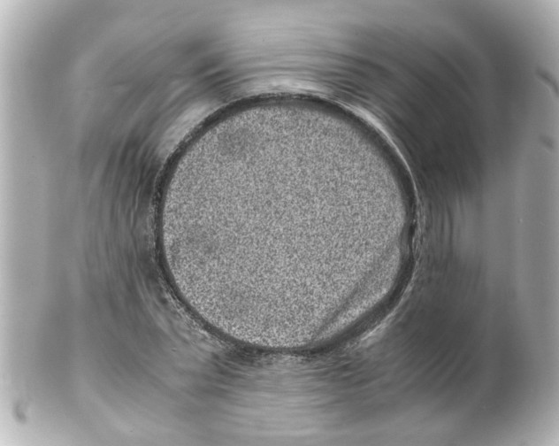 X0000101480783200808041127