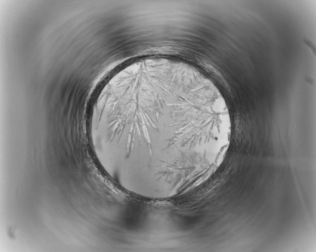 X0000101480784200808041127