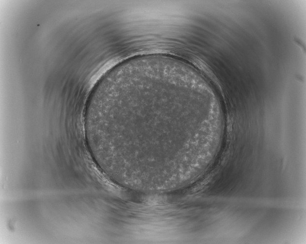 X0000101480789200808041127