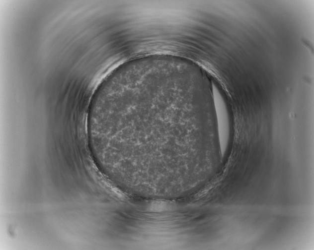 X0000101480790200808041127