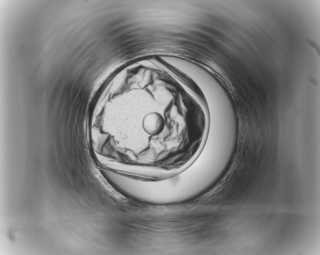 X0000101480796200808041127