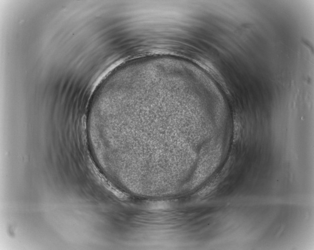 X0000101480798200808041127