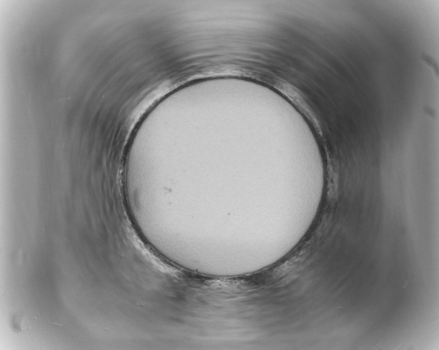 X0000101480805200808041127