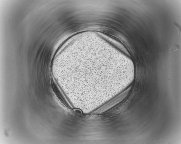 X0000101480808200808041127