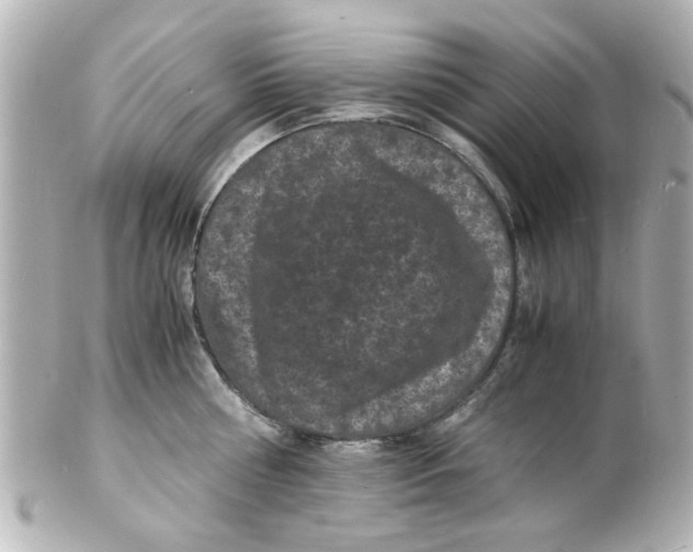 X0000101480810200808041127