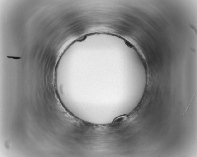 X0000101480815200808041127