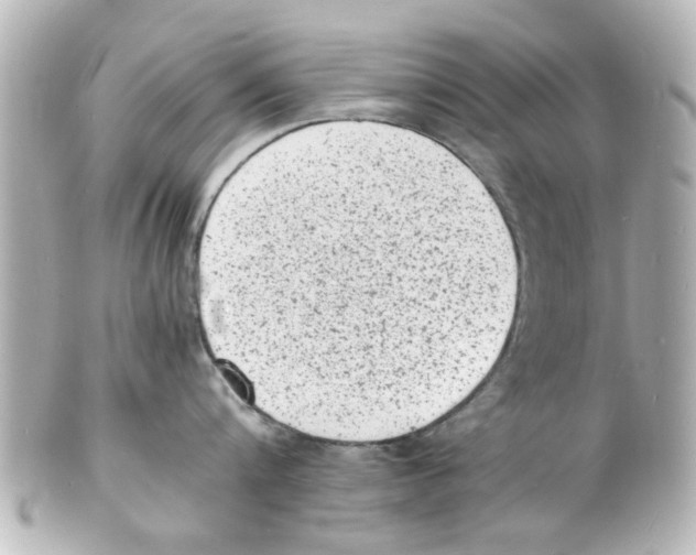 X0000101480816200808041127