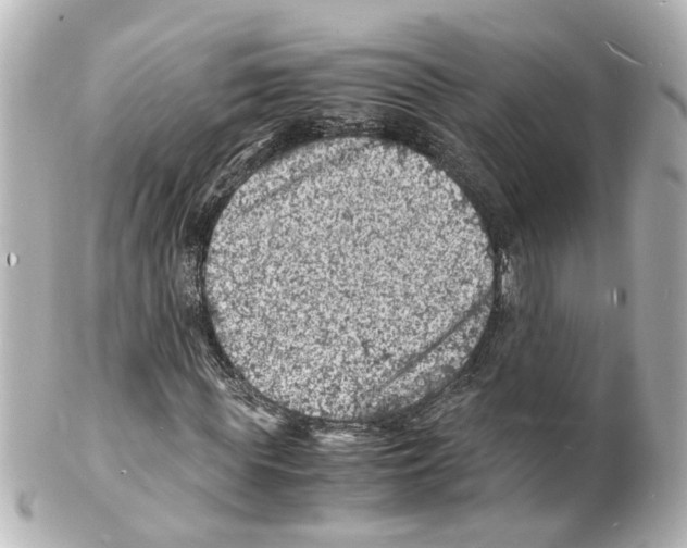 X0000101480819200808041126