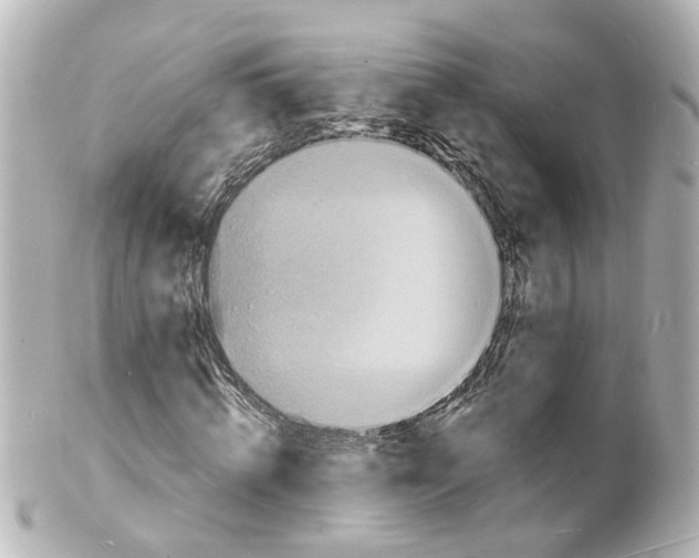 X0000101480820200808041126