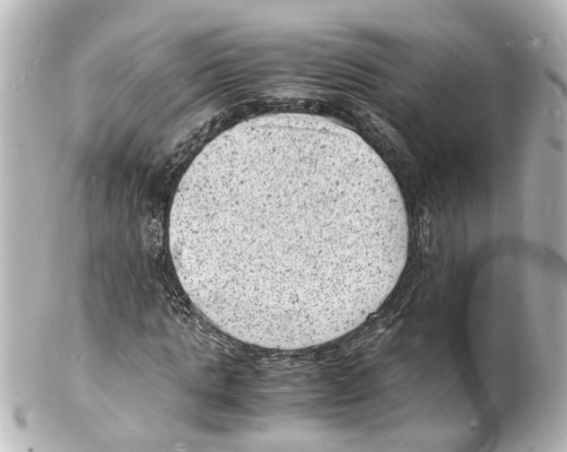 X0000101480821200808041126