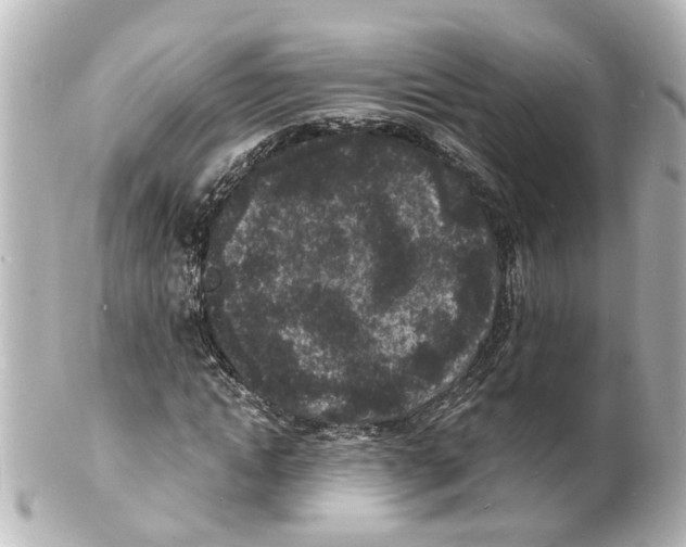 X0000101480822200808041126