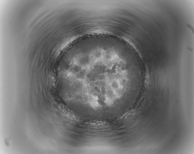 X0000101480823200808041126