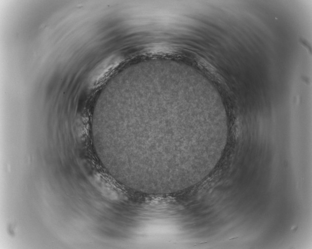 X0000101480824200808041126