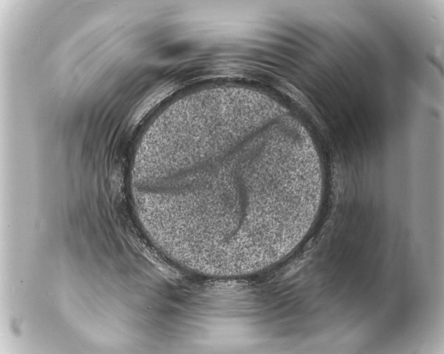 X0000101480826200808041126