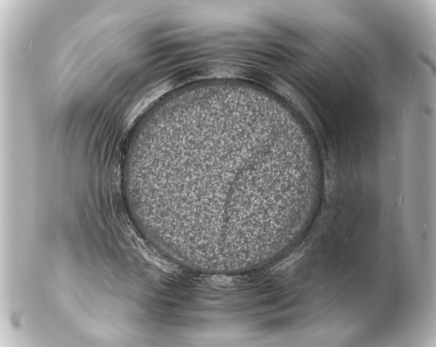 X0000101480827200808041126