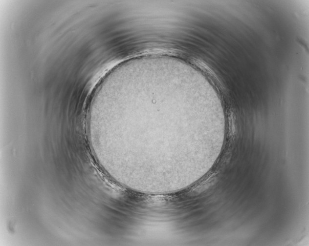 X0000101480828200808041126