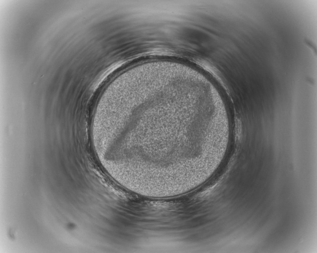 X0000101480829200808041126