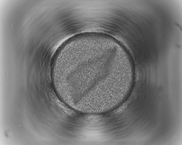 X0000101480830200808041126