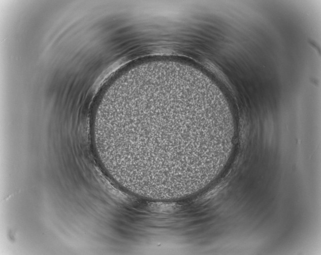 X0000101480831200808041126