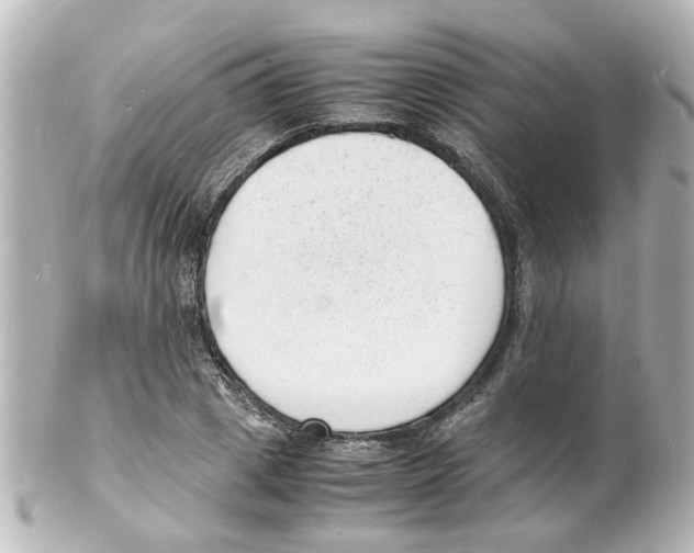 X0000101480833200808041126