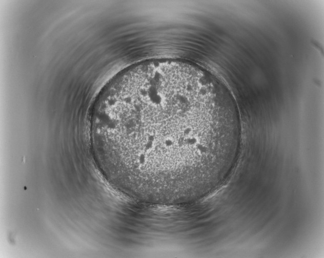 X0000101480835200808041126