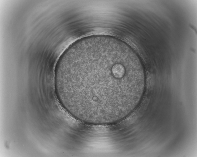 X0000101480836200808041126