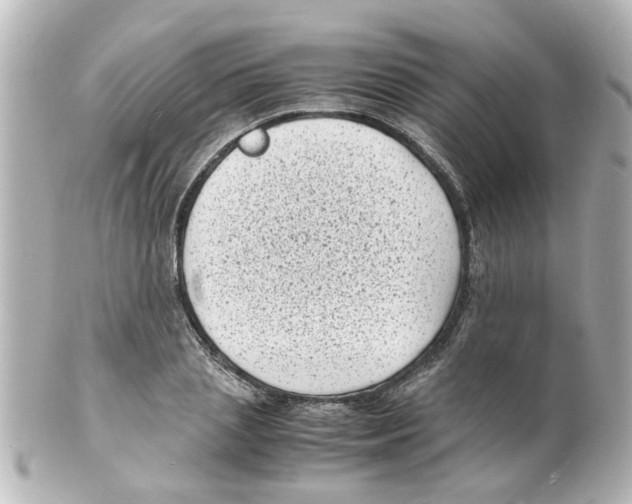 X0000101480837200808041126