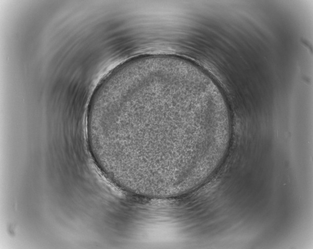 X0000101480840200808041126