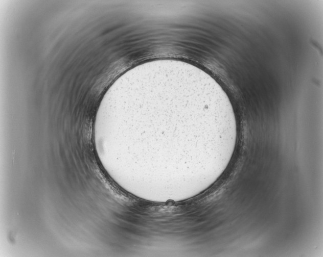 X0000101480841200808041126