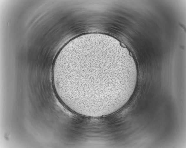 X0000101480847200808041126