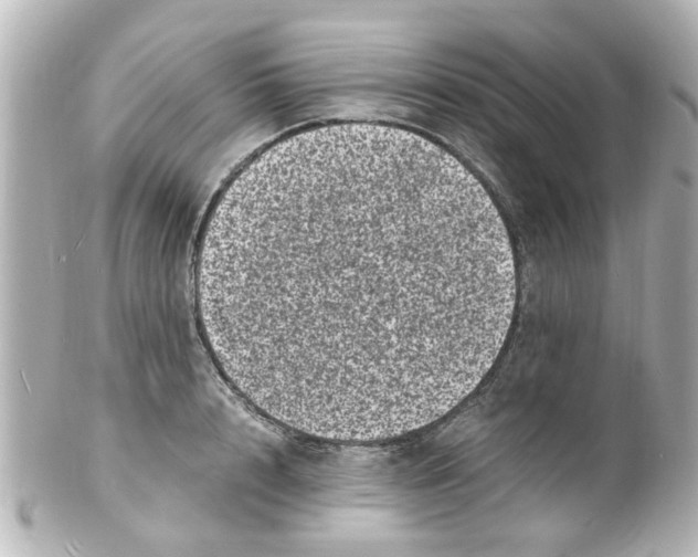 X0000101480848200808041126