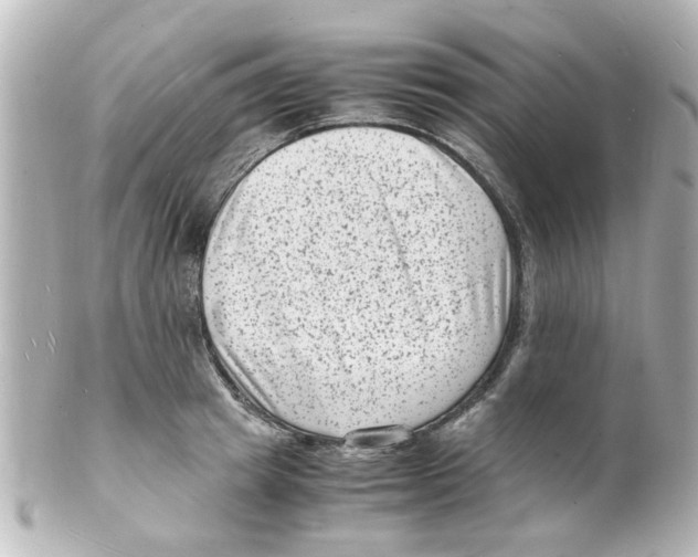 X0000101480849200808041126