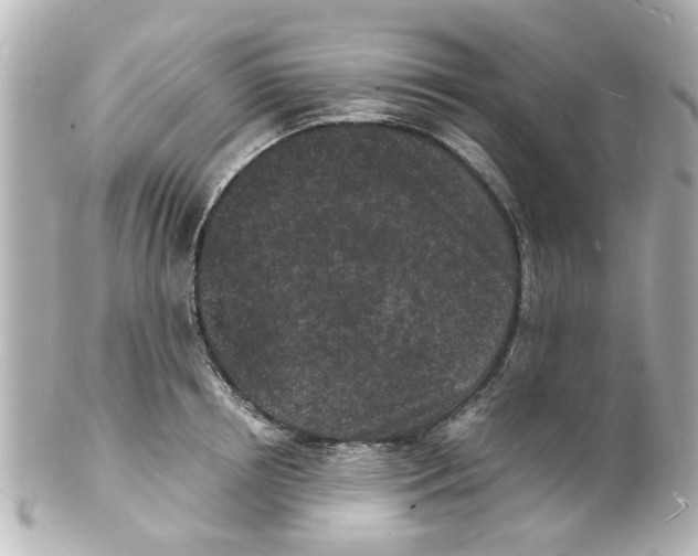 X0000101480850200808041126