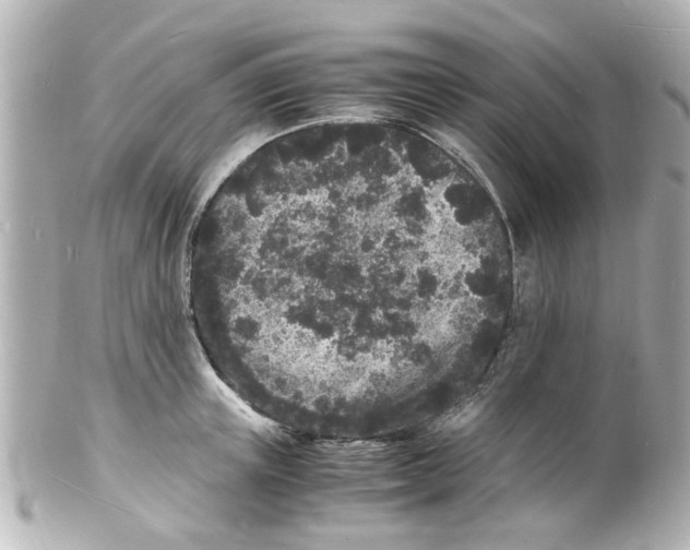 X0000101480851200808041126