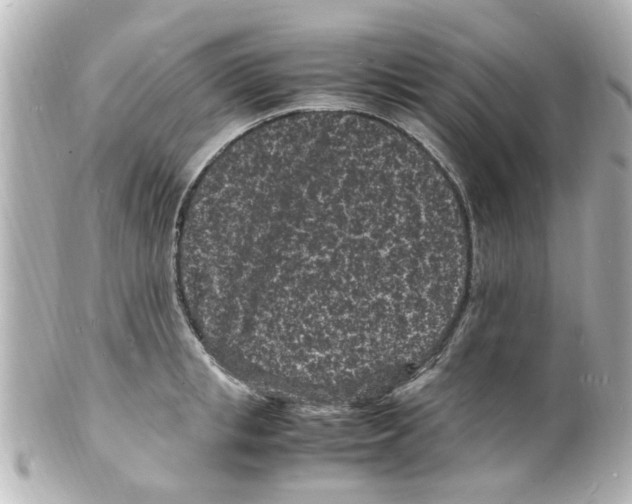 X0000101480853200808041126