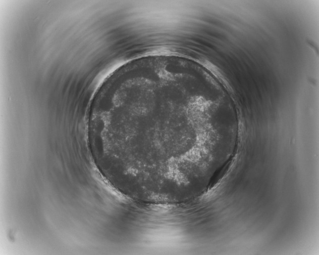 X0000101480854200808041126