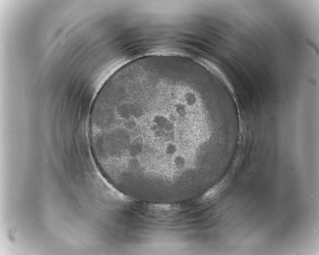 X0000101480855200808041126