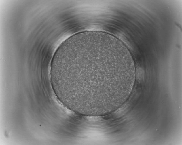 X0000101480856200808041127